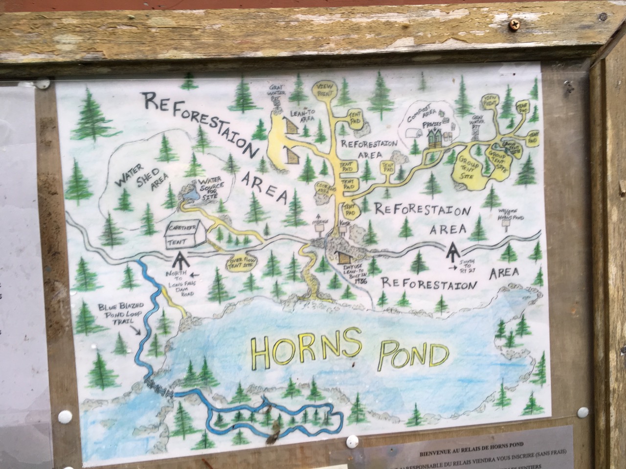 Horns pond site