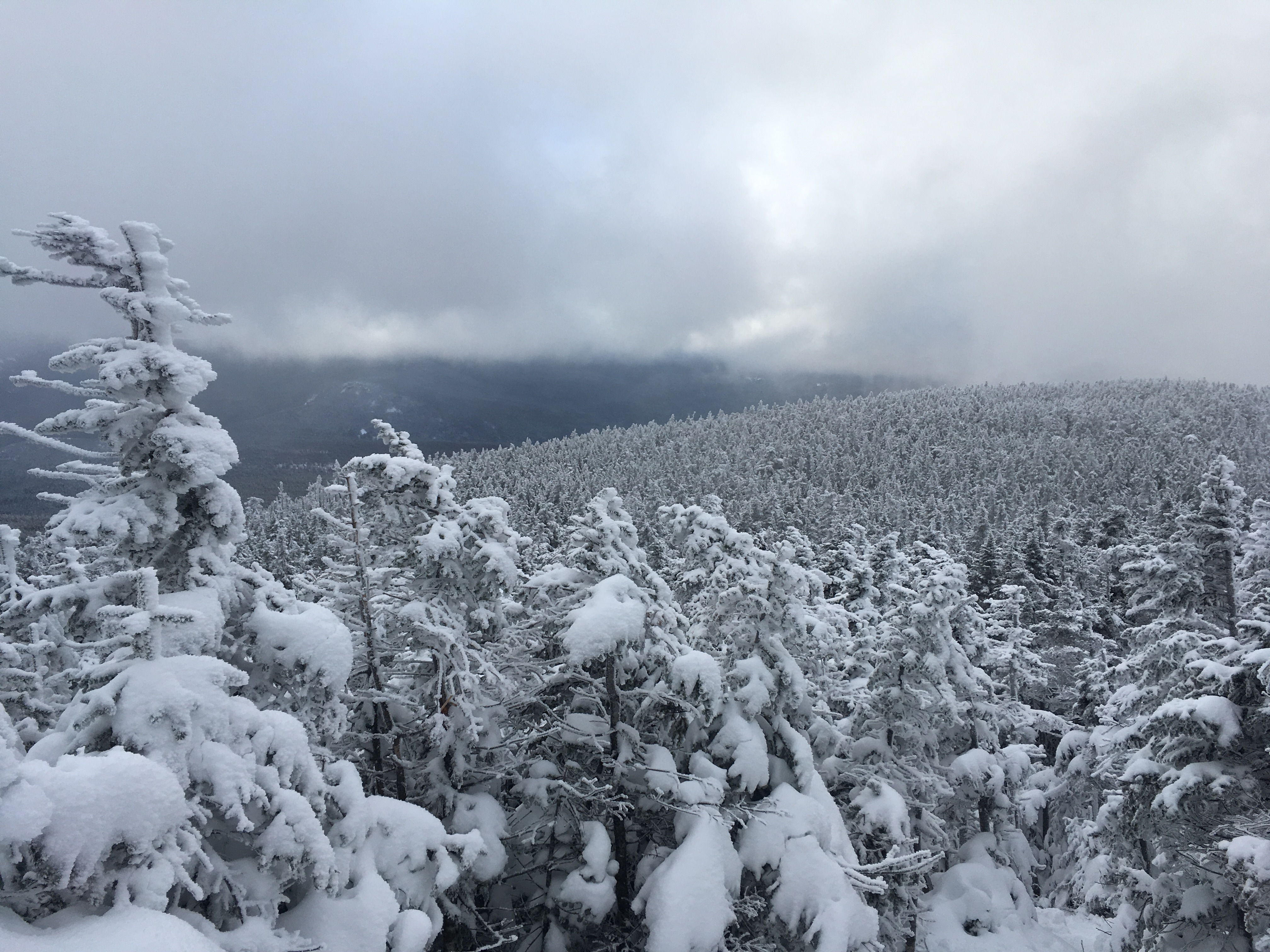 View from Mt Field